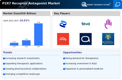 P2X7 Receptor Antagonist Market Infographic