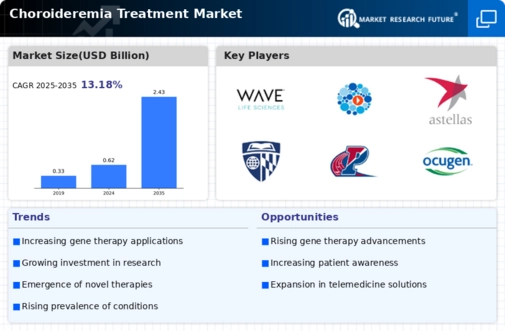 Choroideremia Treatment Market Infographic