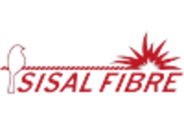 Naturfasern Sisal Markt key player