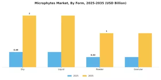 Marché des microphytes Segment Image 2