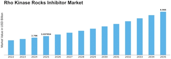 Rho Kinase Rocks Inhibitor Market Size