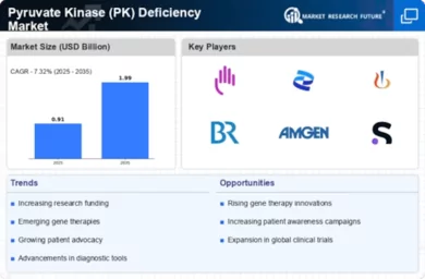 Pyruvate Kinase Deficiency Market Infographic