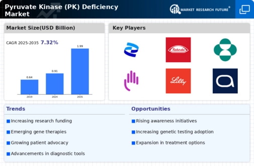 Pyruvate Kinase (PK) Deficiency Market Research Report-Forecast Till 2034 Infographic