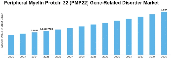 Peripheral Myelin Protein 22 Gene Related Disorder Market Size
