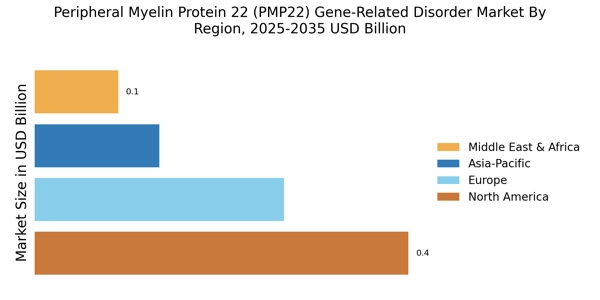 Peripheral Myelin Protein 22 Gene Related Disorder Market Regional Image