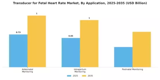 Transducer for Fetal Heart Rate Market Segment Image 0