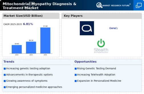 Mitochondrial Myopathy Diagnosis & Treatment Market research Report - Global Forecast till 2032 Infographic