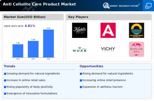 Anti Cellulite Care Product Market  Infographic
