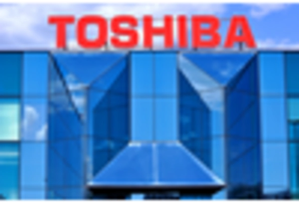 Relaxor Ferroelectric Ceramics Market key player