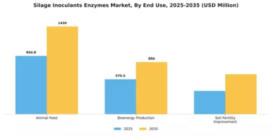 Silage Inoculants Enzymes Market Segment Image 2