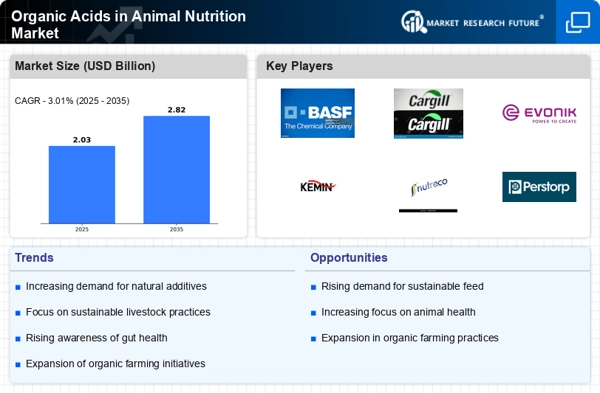 Organic Acids in Animal Nutrition Market Infographic