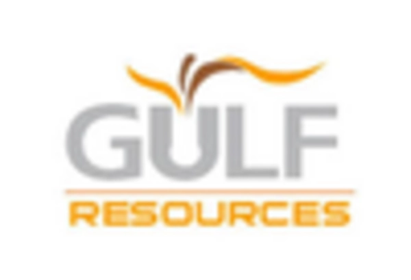 Gilsonite Market key player