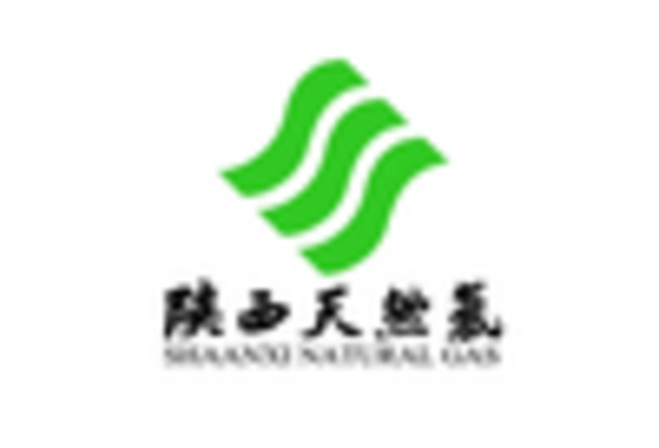 Gilsonite Market key player