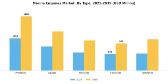 Marine Enzymes Market Segment Image 3