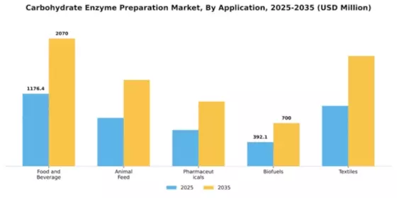 Carbohydrate Enzyme Preparation Market Segment Image 0