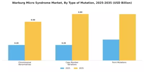 Warburg Micro Syndrome Market Segment Image 0