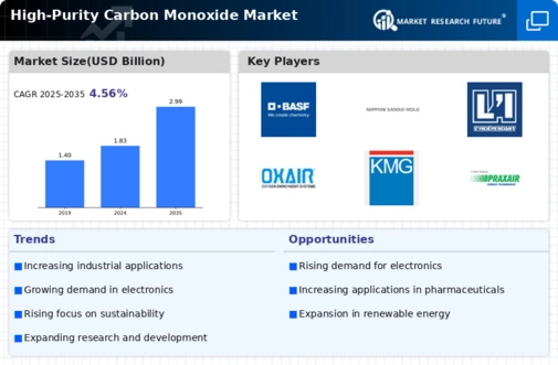 High Purity Carbon Monoxide Market Infographic High Purity Carbon Monoxide Market Infographic
