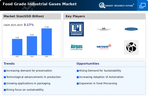 Food Grade Industrial Gases Market Research Report — Global Forecast till 2034 Infographic