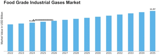 Food Grade Industrial Gases Market Size