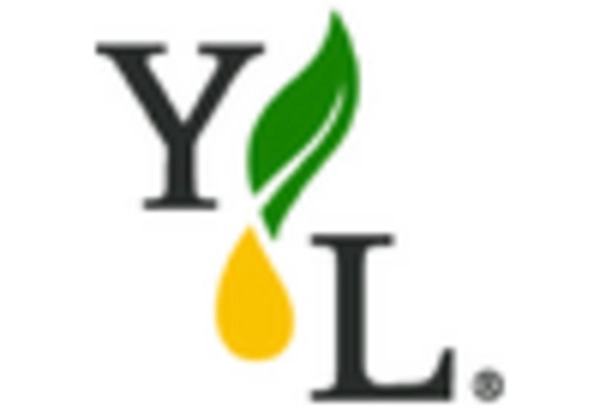 Immortelle Oil Market
 key player