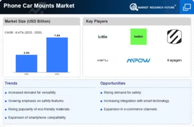 Phone Car Mounts Market Infographic