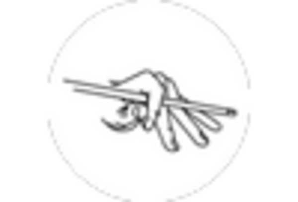 Cue Sticks Market key player