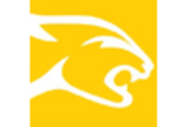 Cue Sticks Market key player