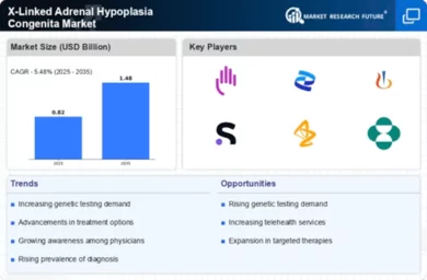 X-Linked Adrenal Hypoplasia Congenita Market Infographic