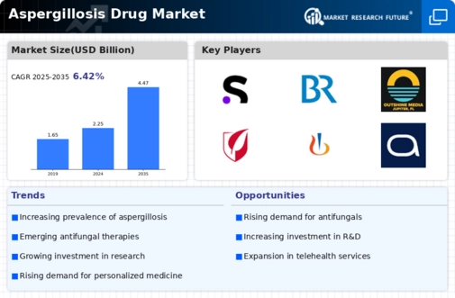 Aspergillosis Drug Market Infographic