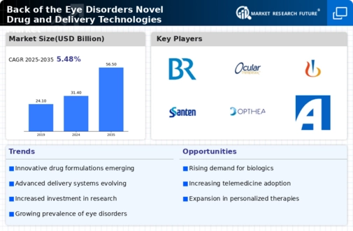 Back Of The Eye Disorders Novel Drug Delivery Technologies Market Infographic