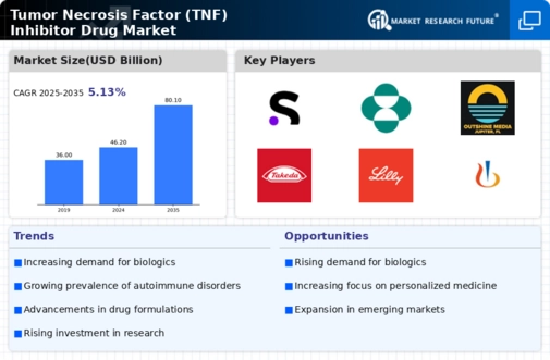 Tumor Necrosis Factor Inhibitor Drug Market Infographic