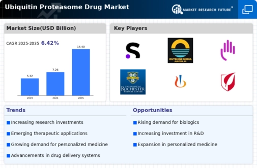 Ubiquitin Proteasome Drug Market Infographic