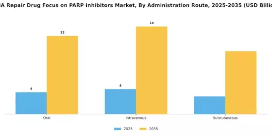 Dna Repair Drug Focus On Parp Inhibitors Market Segment Image 1