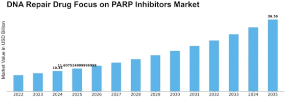 Dna Repair Drug Focus On Parp Inhibitors Market Size