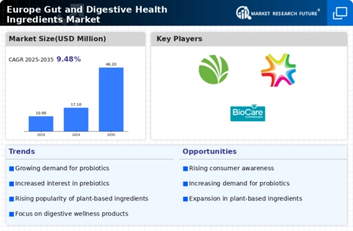 Europe Gut Digestive Health Ingredients Market Infographic Europe Gut Digestive Health Ingredients Market Infographic