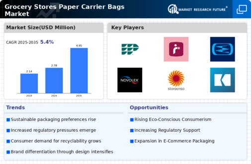 Grocery Stores Paper Carrier Bags Market Infographic