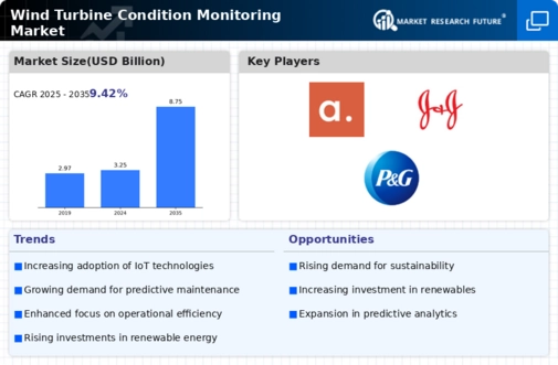 Wind Turbine Condition Monitoring Market Infographic