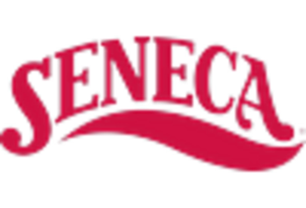 Apple Filling Market key player