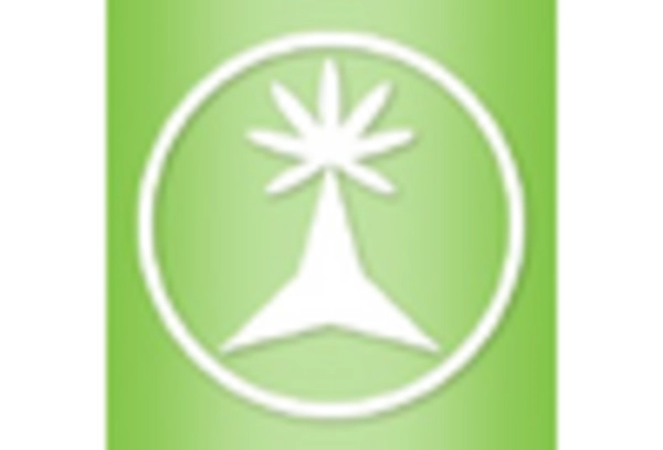 Apple Powder Market key player