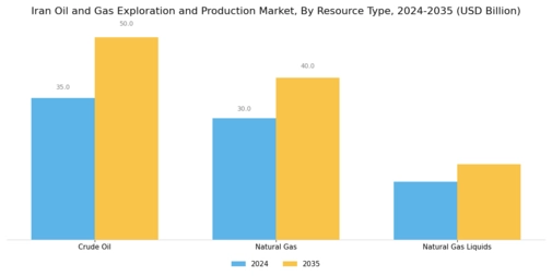 Iran Oil Gas Exploration Production Market Segment Image 2