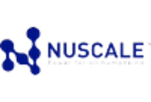 Nuclear Reactor Construction Market key player