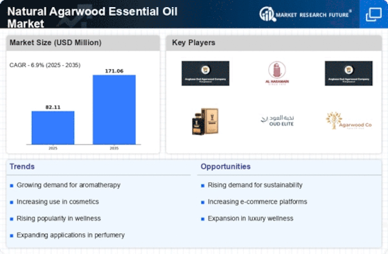 Natural Agarwood Essential Oil Market Infographic