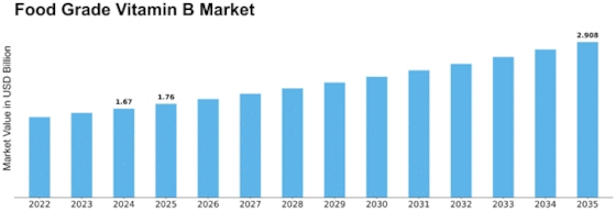 Food Grade Vitamin B Market Size