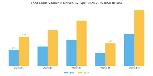Food Grade Vitamin B Market Segment Image 0