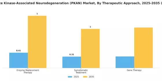 Pantothenate Kinase Associated Neurodegeneration Market
 Segment Image 3