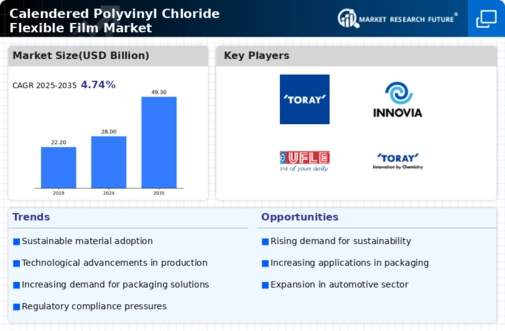 Calendered Polyvinyl Chloride Flexible Film Market Infographic