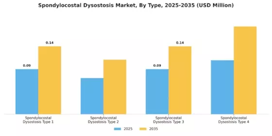 Spondylocostal Dysostosis Market Segment Image 3