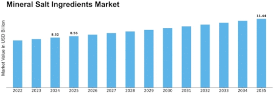 Mineral Salt Ingredients Market Size