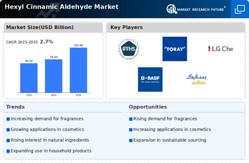 Hexyl Cinnamic Aldehyde Market Infographic