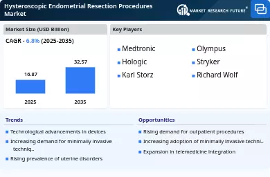 Hysteroscopic Endometrial Resection Procedures Market Infographic